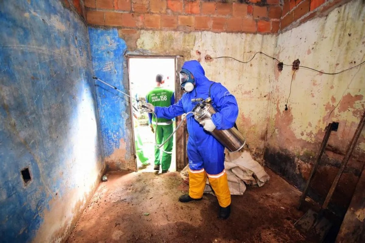 Ação contra Aedes Aegypti remove 35 toneladas de lixo no Bairro da Paz, em Salvador