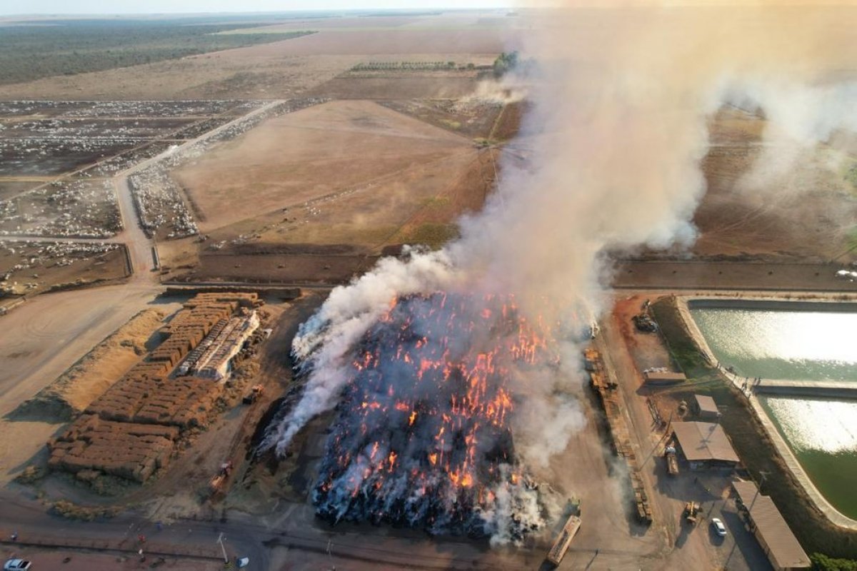 Incêndio de grandes proporções atinge depósito de feno no oeste da Bahia