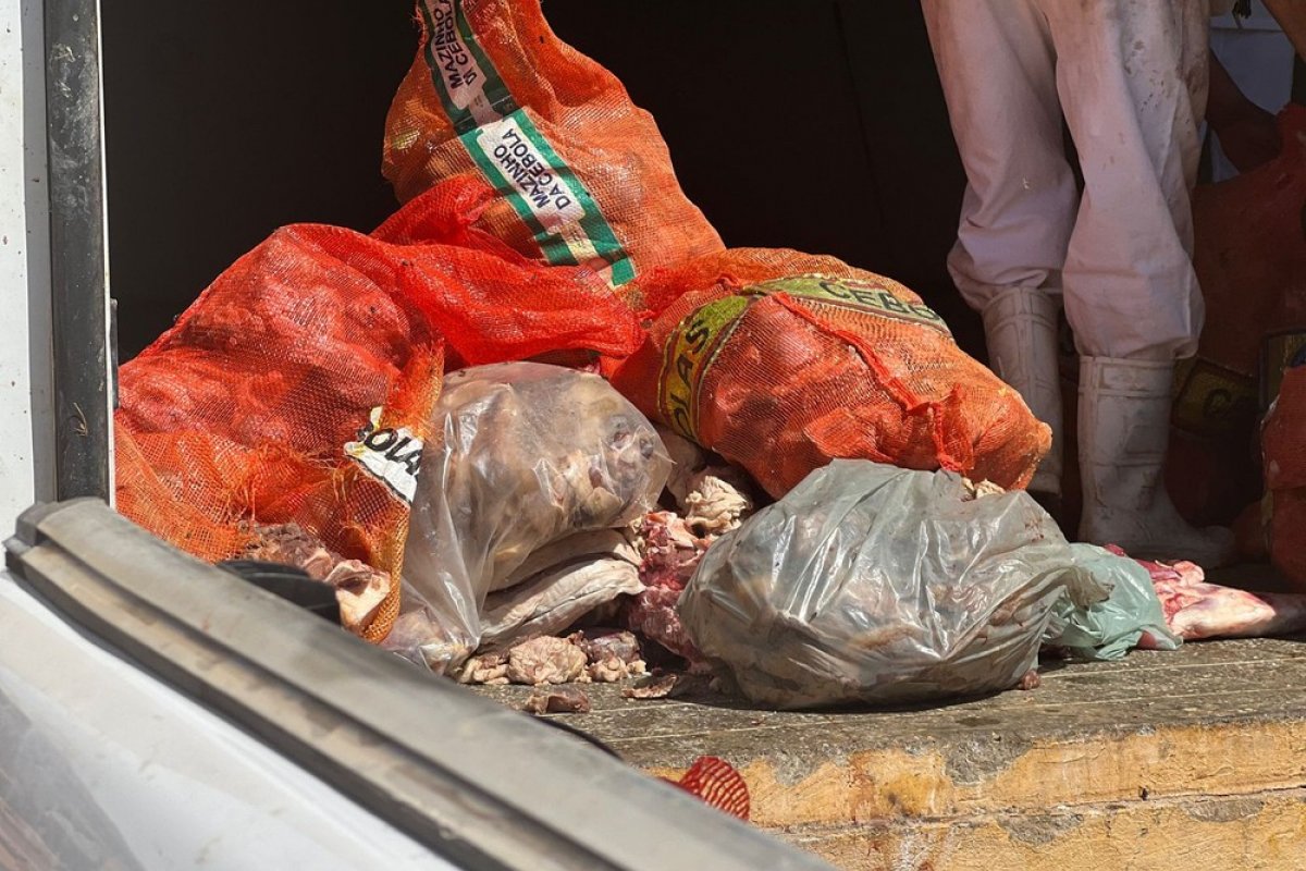 Uma tonelada de carne imprópria para consumo é apreendida após operação em cidade do interior da Bahia