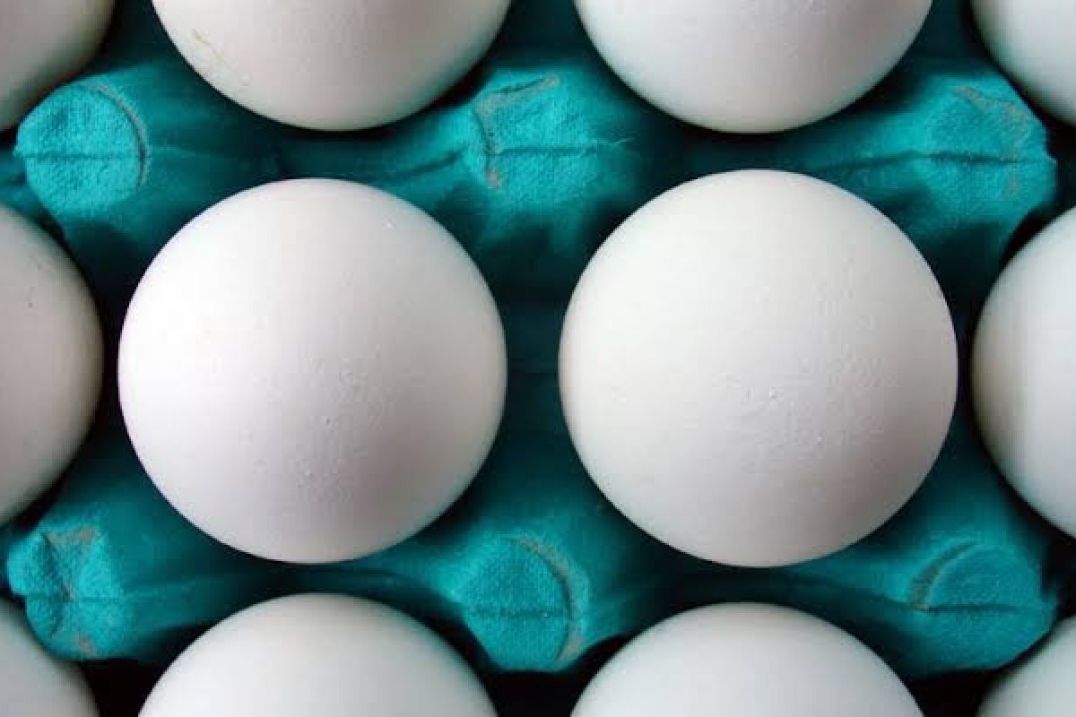 Preço do ovo de galinha registra alta de mais de 20% em 12 meses