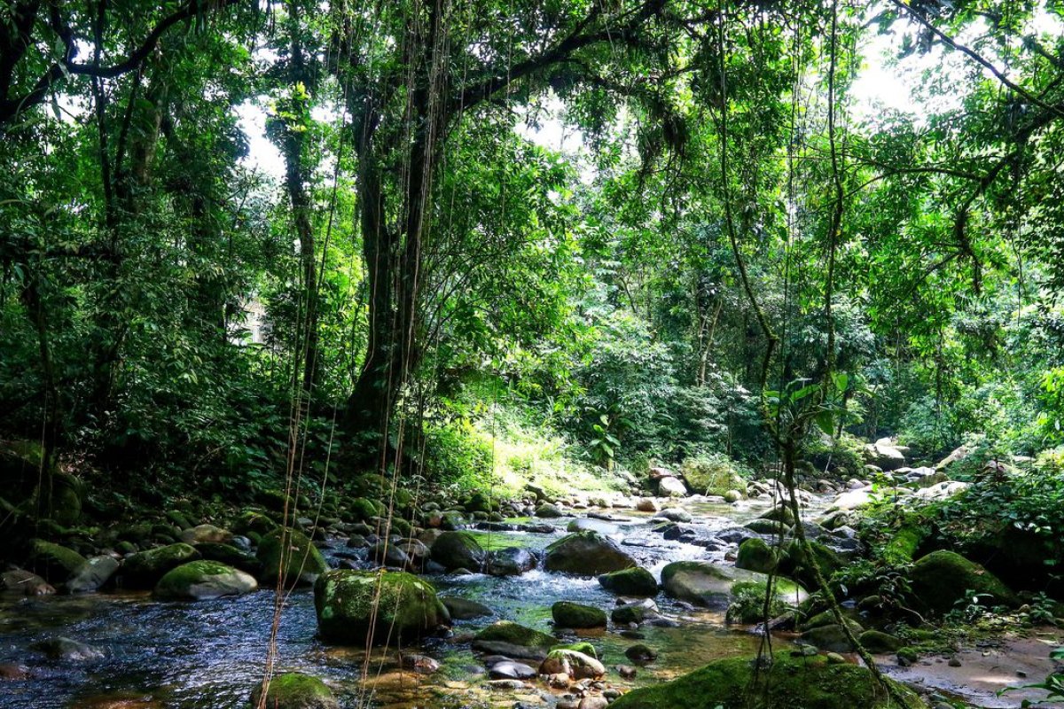 Brasil lidera ranking de melhores países para fazer ecoturismo