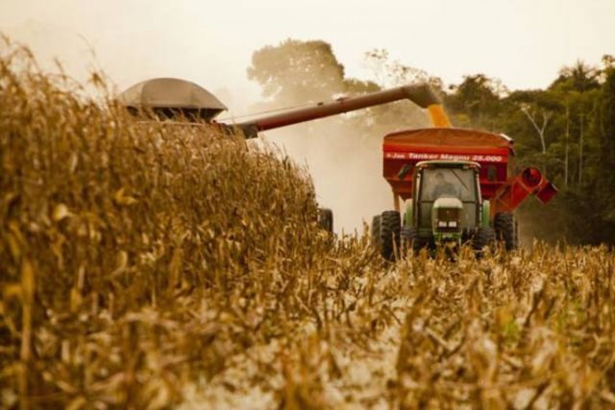 Produção de grãos na Bahia bate recorde e deve crescer 6,9% em 2023