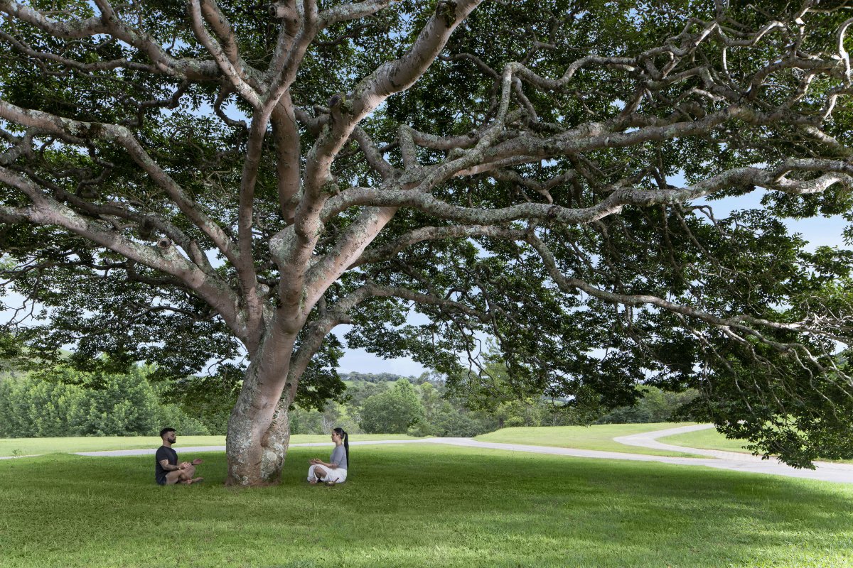 Botanique prepara atrações e novidades para uma experiência única e revigorante, durante o feriado de 7 de setembro!