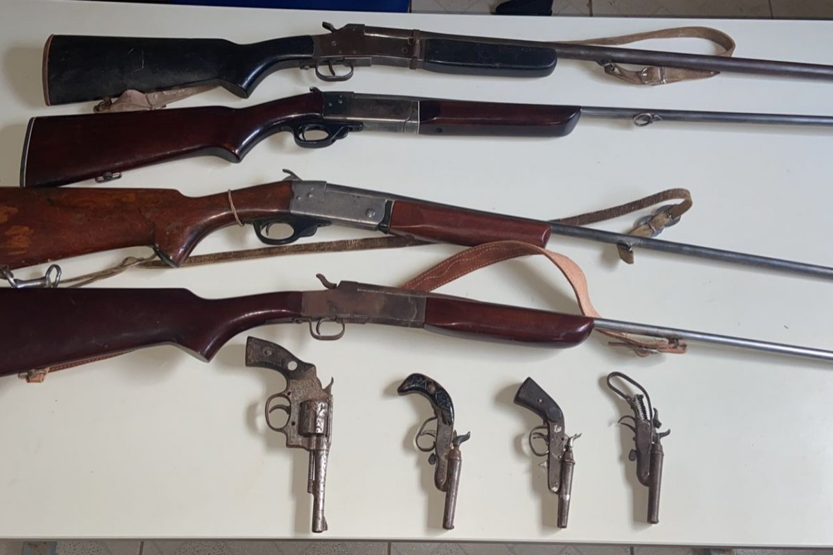 Oito armas são apreendidas em ação da Polícia Militar no oeste da Bahia 
