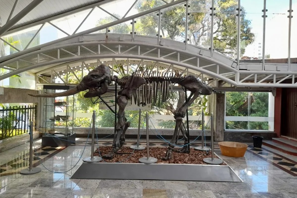Museu Geológico da Bahia não funciona nesta quinta (07) 