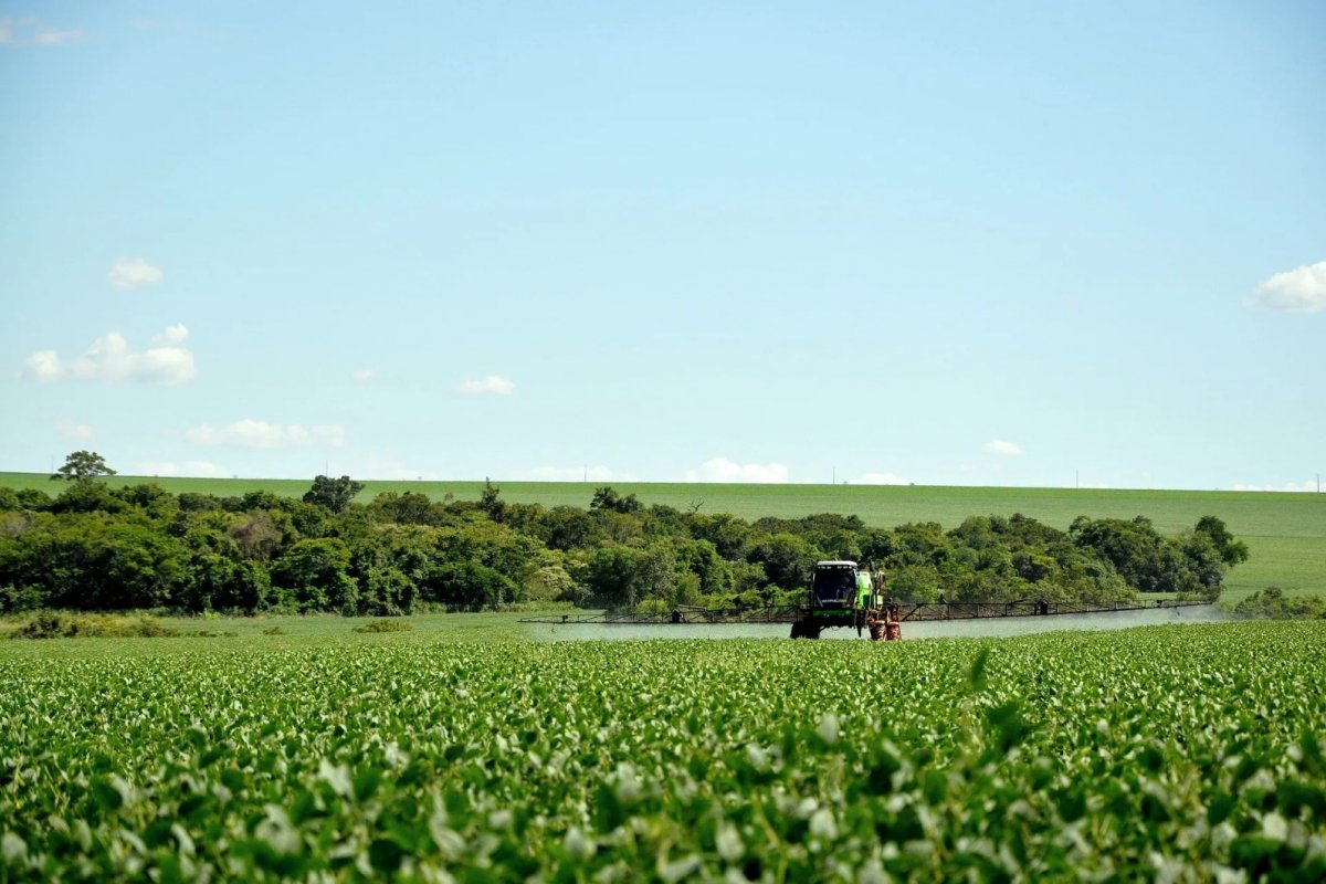 Bancada ruralista quer votar PL que facilita liberação de agrotóxicos