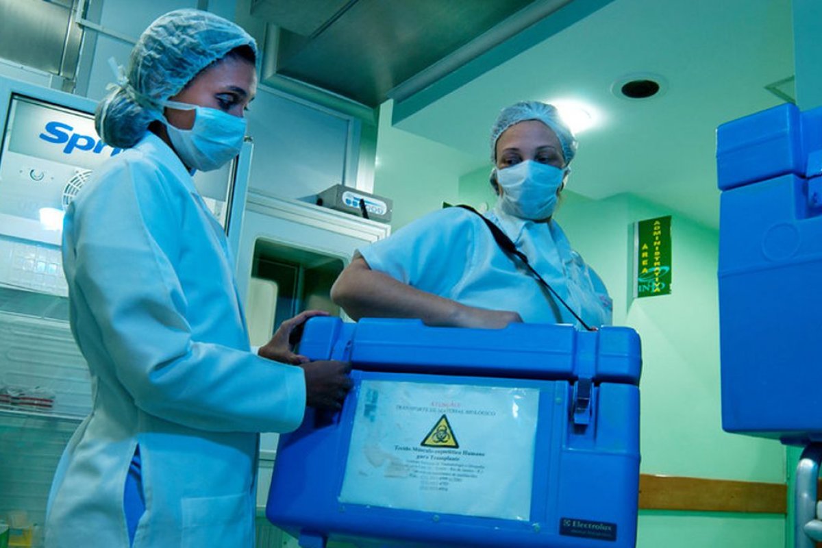 Número de transplantes de órgãos cresce 11,6% em 2023 no Brasil