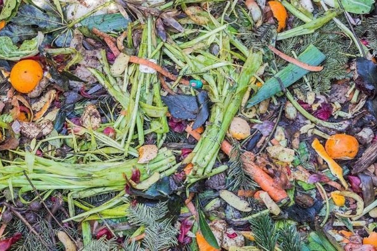 Brasil está entre os países que mais desperdiçam alimentos, diz ONU