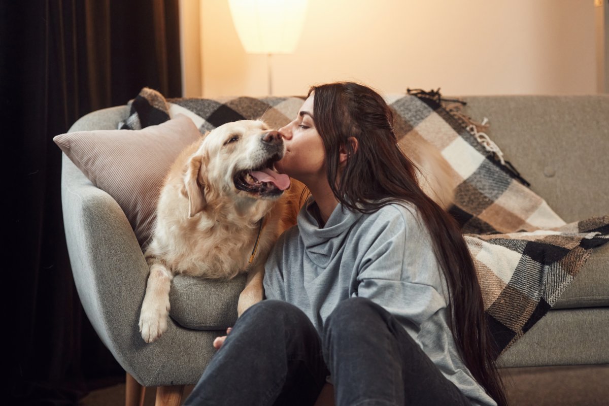 Estudos mostram ligação entre saúde mental e convívio com pets! 