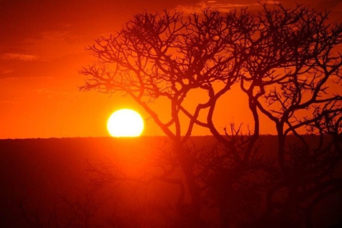 Setembro registra clima mais quente da história, aponta observatório