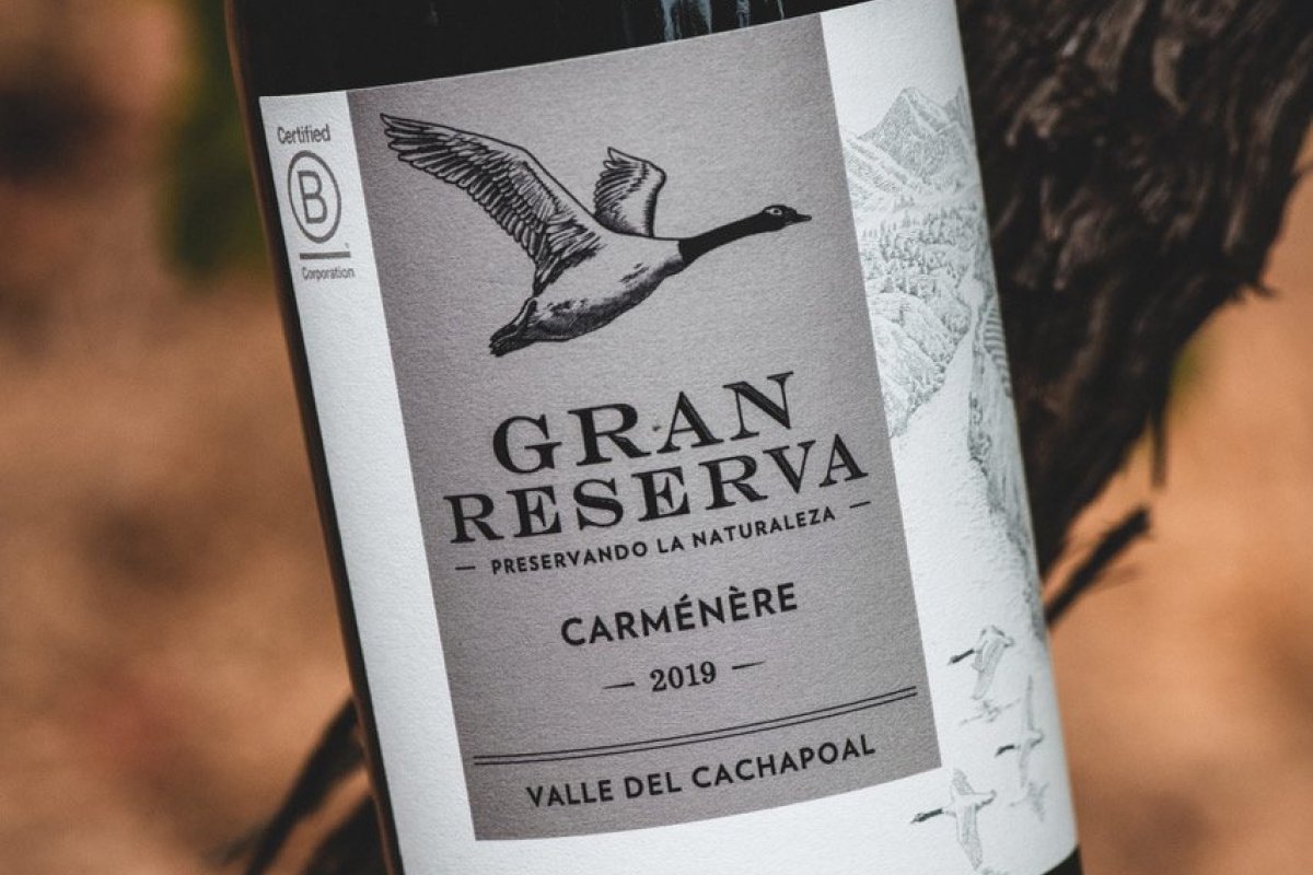 Gran Reserva Concha y Toro é o vinho oficial do Festival do Consumo Consciente! 
