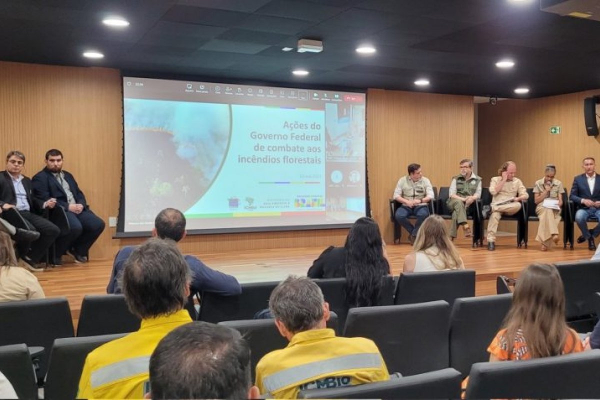Governo enviará mais 149 brigadistas para combater incêndios no Amazonas, diz Marina
