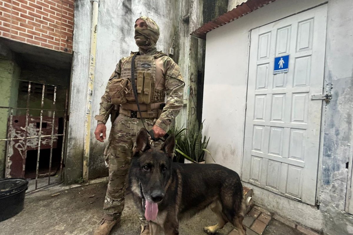 Operação Noise: Polícia Civil cumpre oito mandados em Salvador