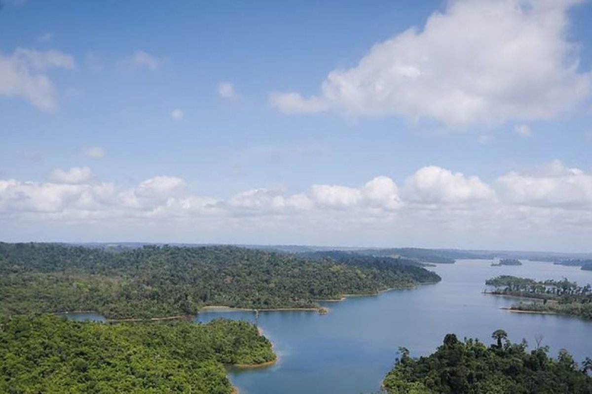 Diretor da ONU cita expansão de atividades de agricultura e extrativismo na Amazônia em evento internacional