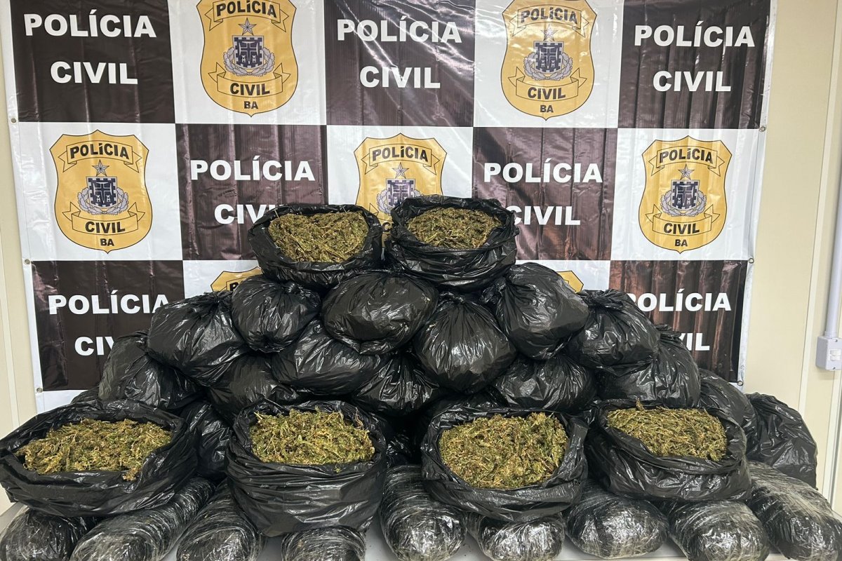 Mais de 40 quilos de maconha são apreendidos em São Gonçalo do Retiro