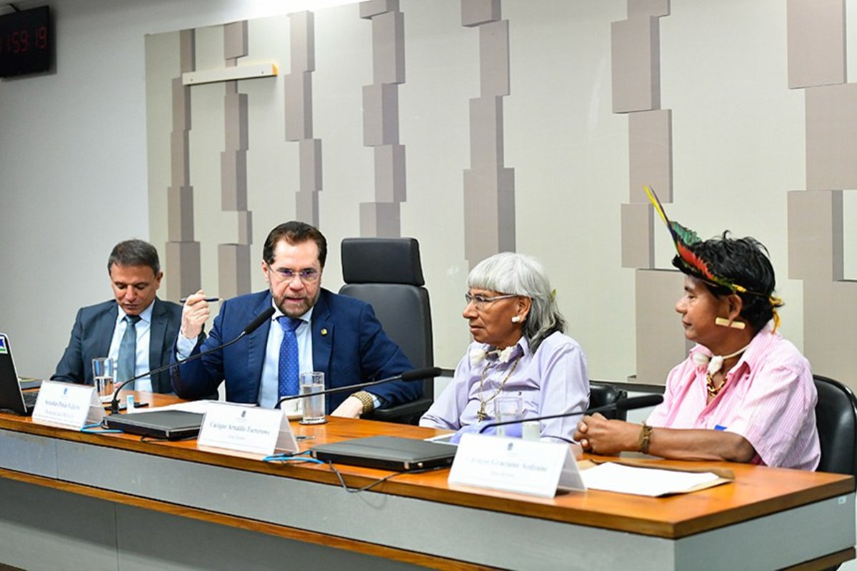 'Não somos ouvidos pela Funai', diz indígena ouvido na CPI das ONGs 