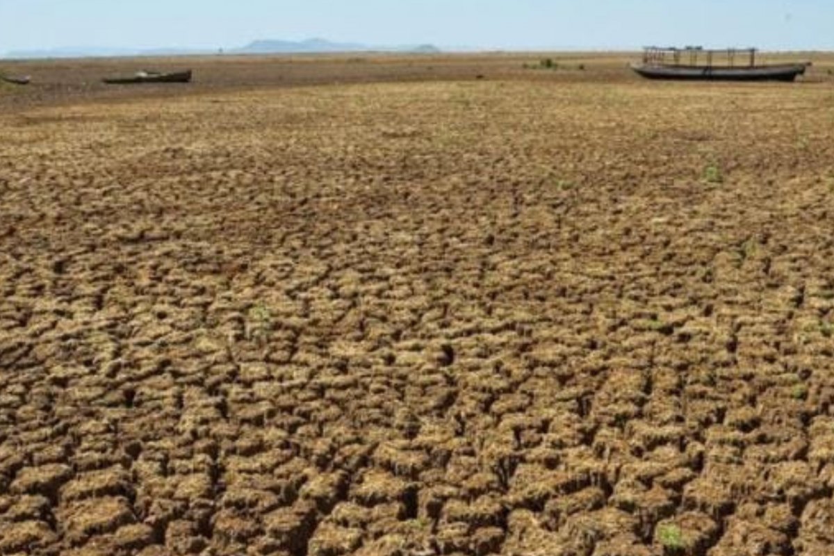 Previsão climática alerta sobre agravamento da seca no Nordeste