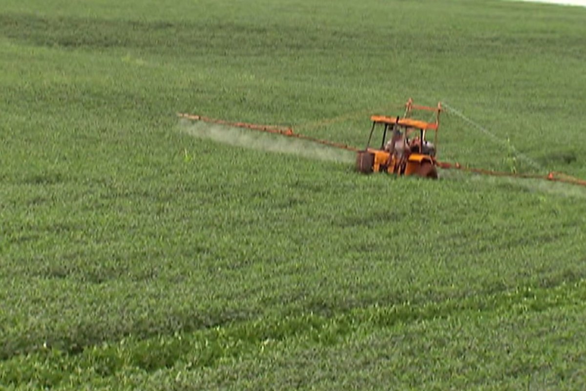 Agrotóxicos: números registrados em 2019 é o maior da história 
