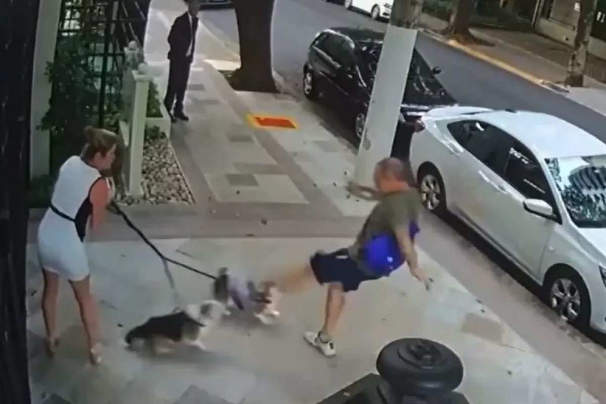 MP denuncia por lesão corporal e maus-tratos a animais homem que agrediu irmã de Zanin e cães 