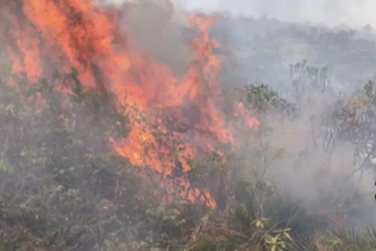 Incêndio causa destruição no sudoeste da Bahia há pelo menos uma semana 