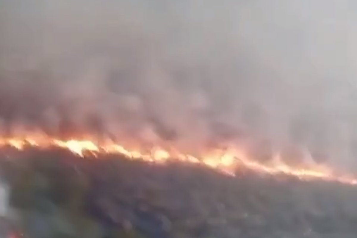 Vídeo: Onda de fumaça cobre Manaus após queimadas e seca histórica