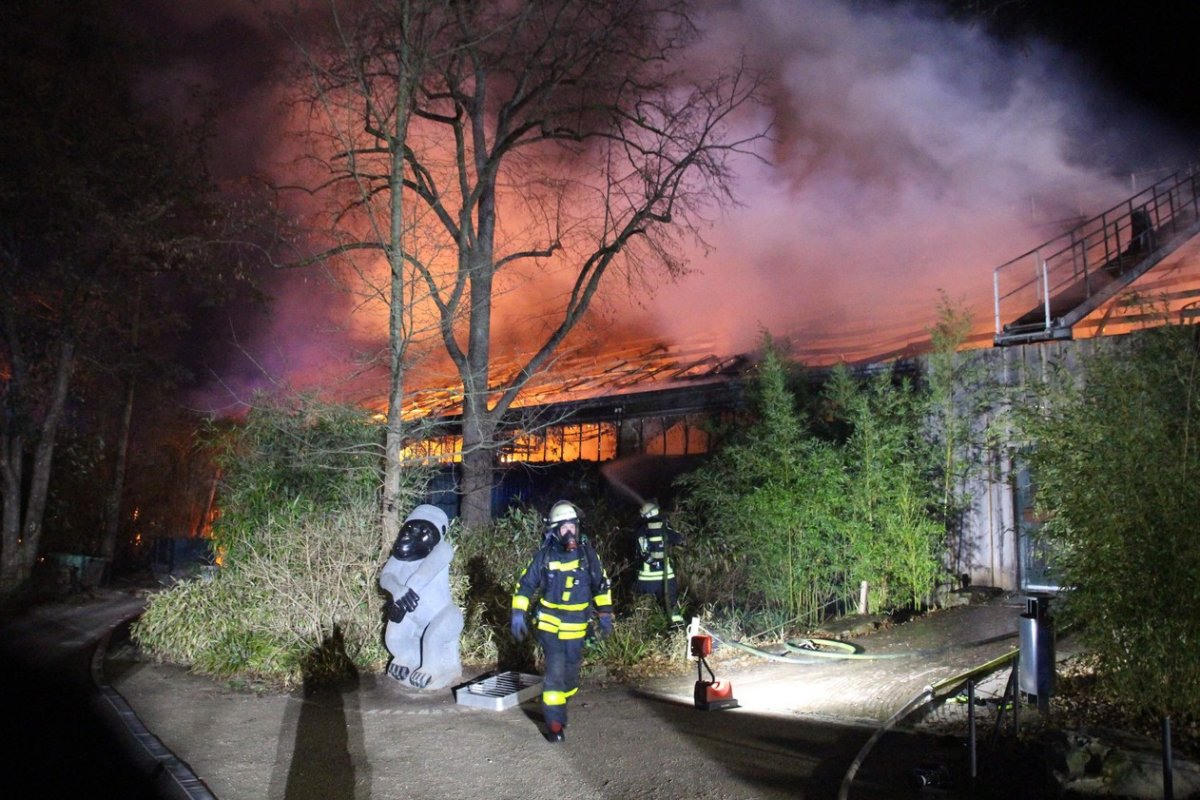 Incêndio atinge zoológico alemão e mata dezenas de animais