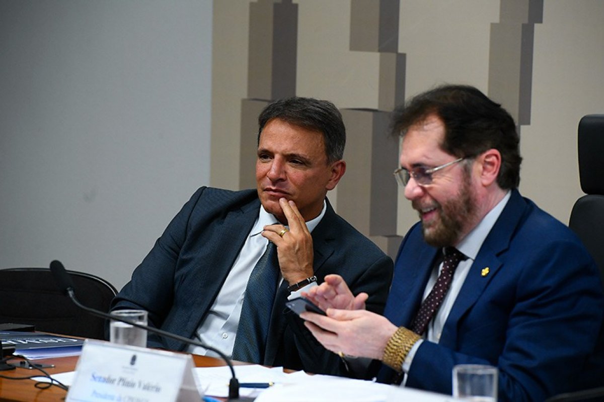 Relatório final da CPI das ONGs será apresentado na terça-feira (5)