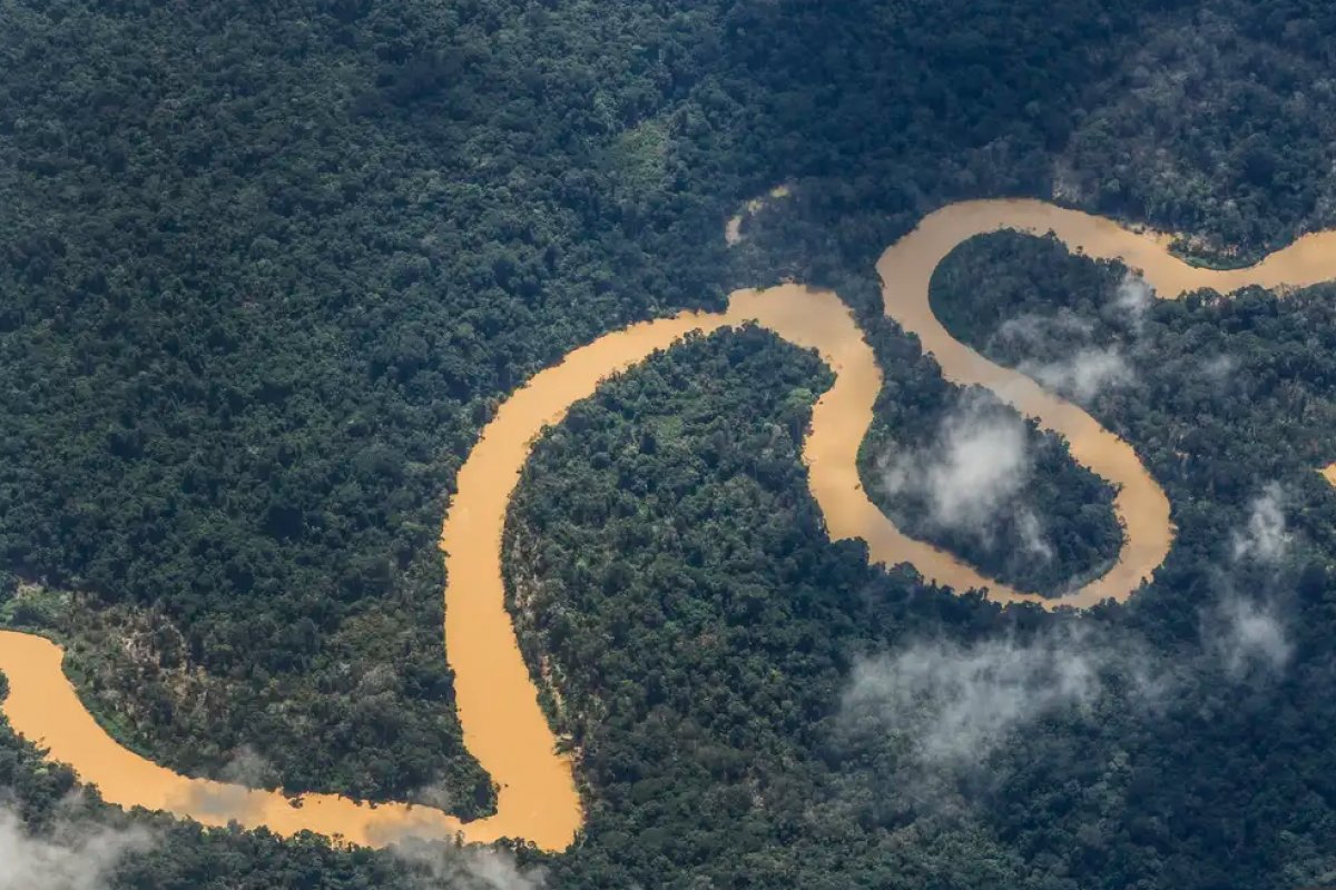 Estudo da Fiocruz aponta que conexão entre a cor dos rios amazônicos e a incidência de malária 