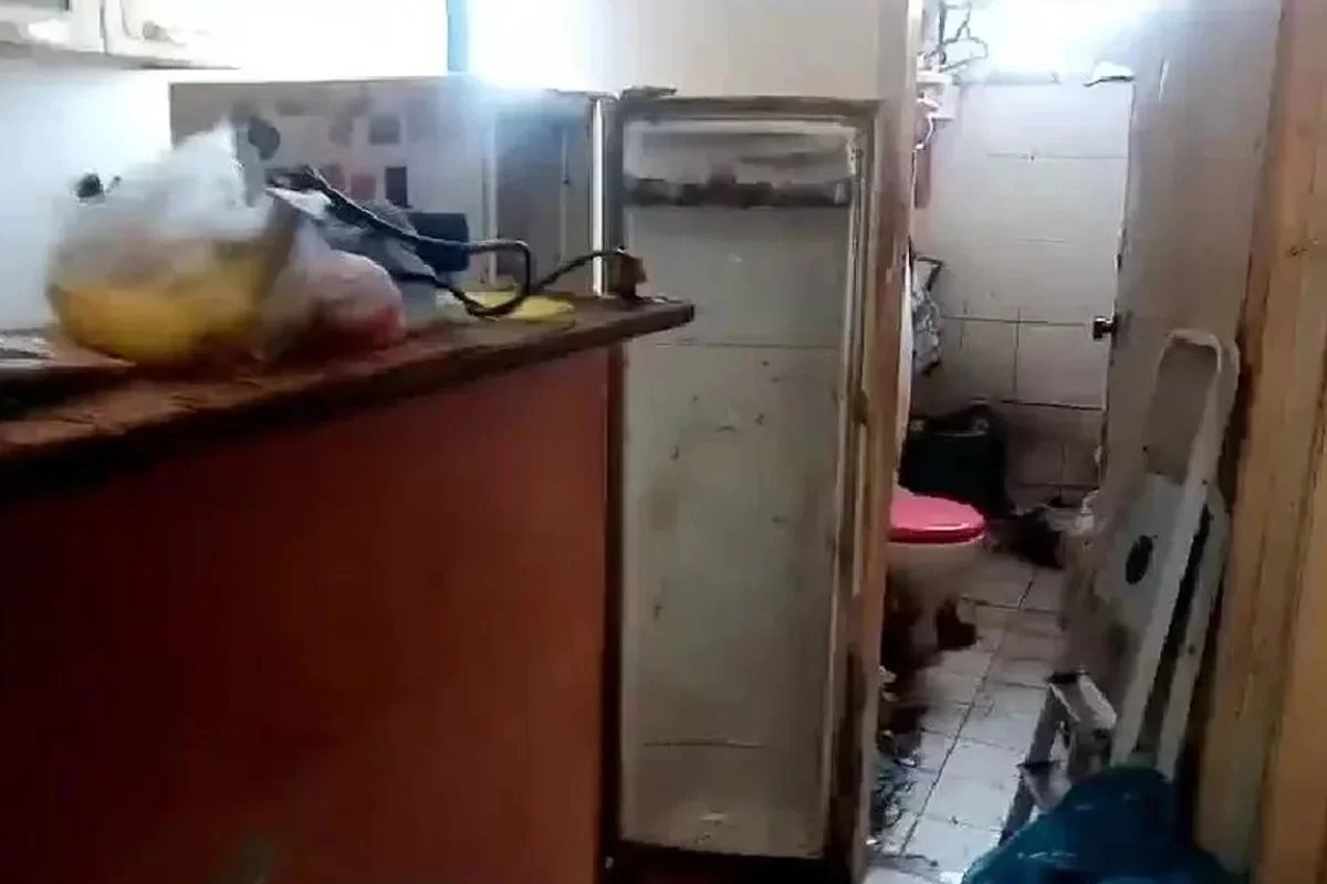Polícia divulga causa da morte de homem morto há 7 anos encontrado dentro de geladeira 