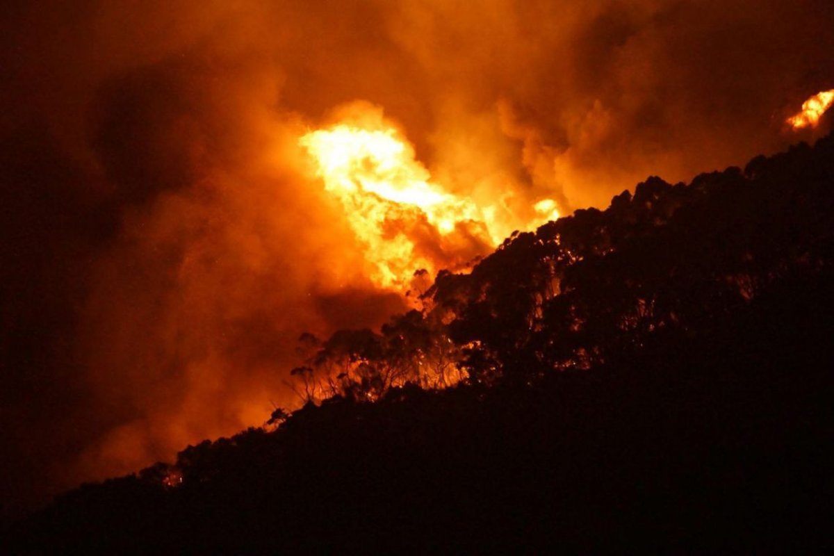 3 mil reservistas australianos são convocados para ajudar no combate contra incêndios