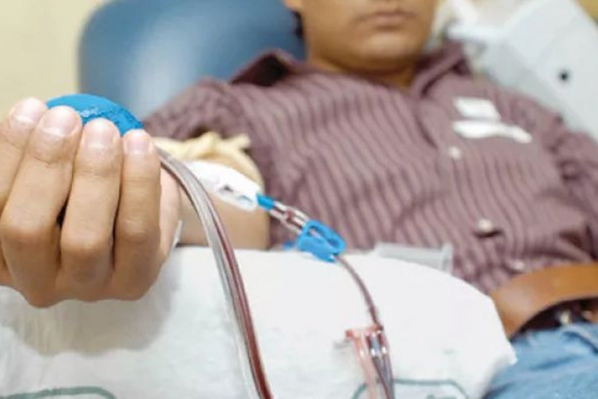 Dia do Hemofílico acontece no Brasil neste sábado (4)