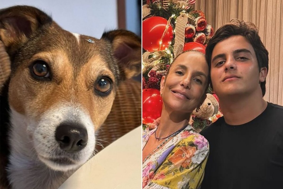 Filho de Ivete Sangalo pede ajuda para encontrar cachorrinha que sumiu em Praia do Forte! 