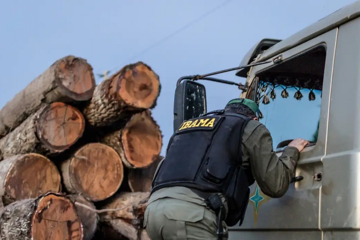 Ibama: servidores prometem suspender fiscalização ambiental