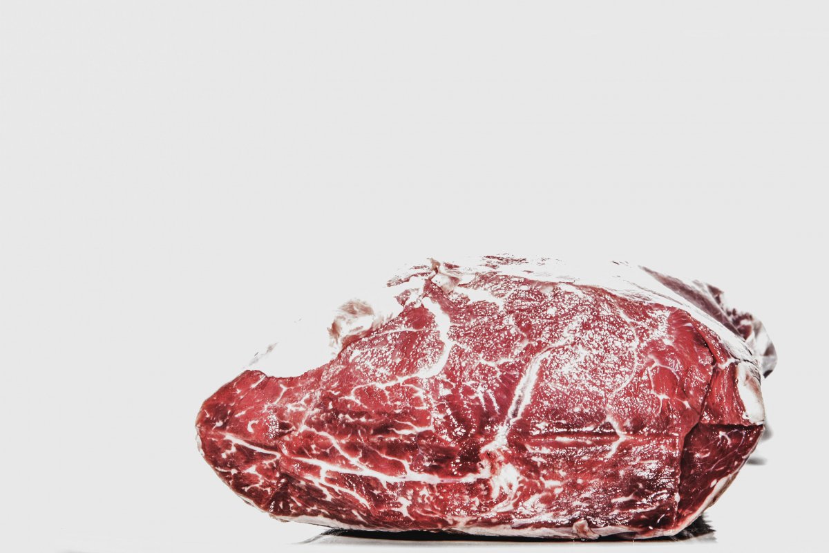 Coreia do Sul aprova lei que proíbe consumo e venda de carne de cachorro