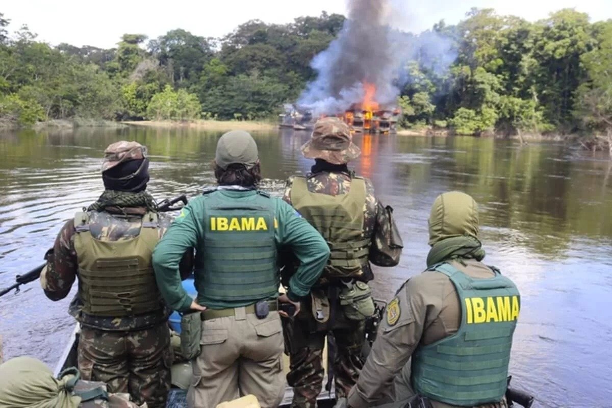 Multas na Amazônia têm queda de 92% nos primeiros 15 dias de 2024, diz pesquisa