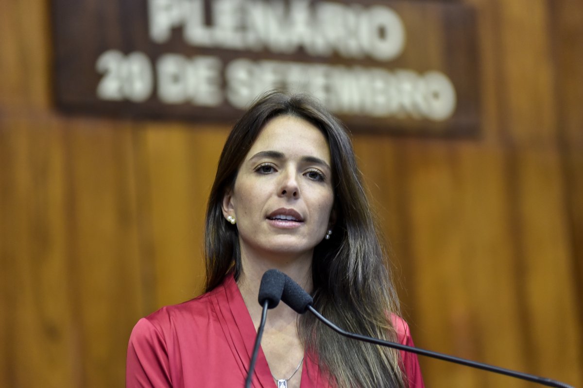 Nova MP sem reoneração da folha é 'decisão sensata' do governo, diz relatora 
