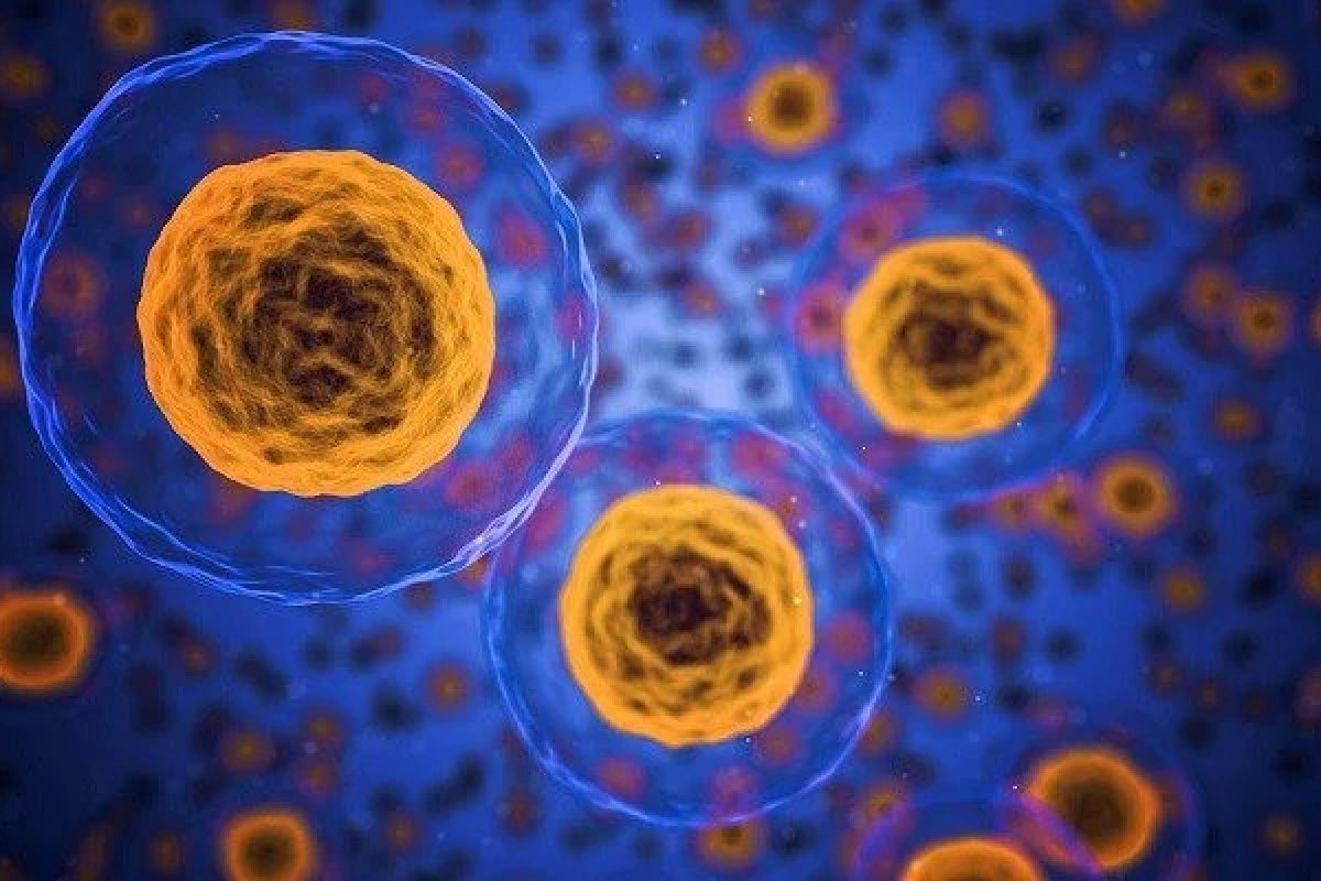 Meningite bacteriana: crianças infectadas podem desencadear problemas neurológicos 