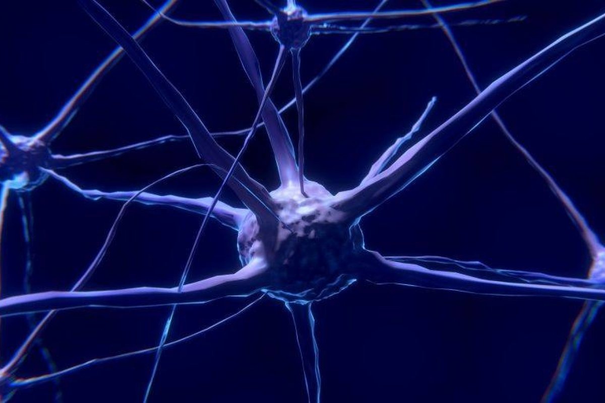 Exame de sangue simples pode revolucionar diagnóstico de Alzheimer 