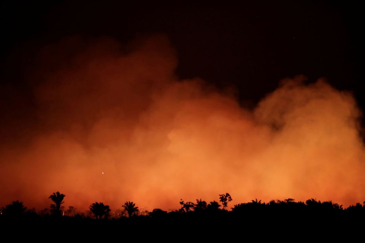 Inpe divulga que focos de queimadas na Amazônia aumentam 30% em 2019