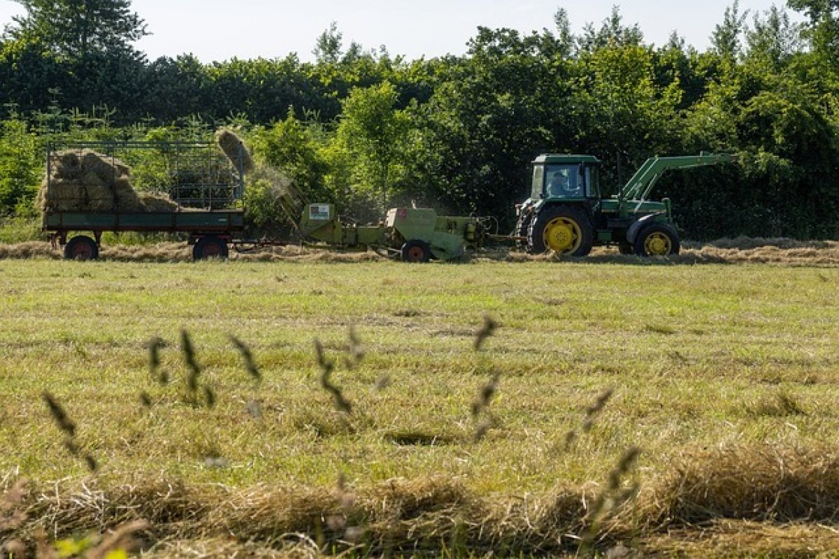 Supersafra e queda nos preços das commodities afetaram valorização das terras agrícolas em 2023