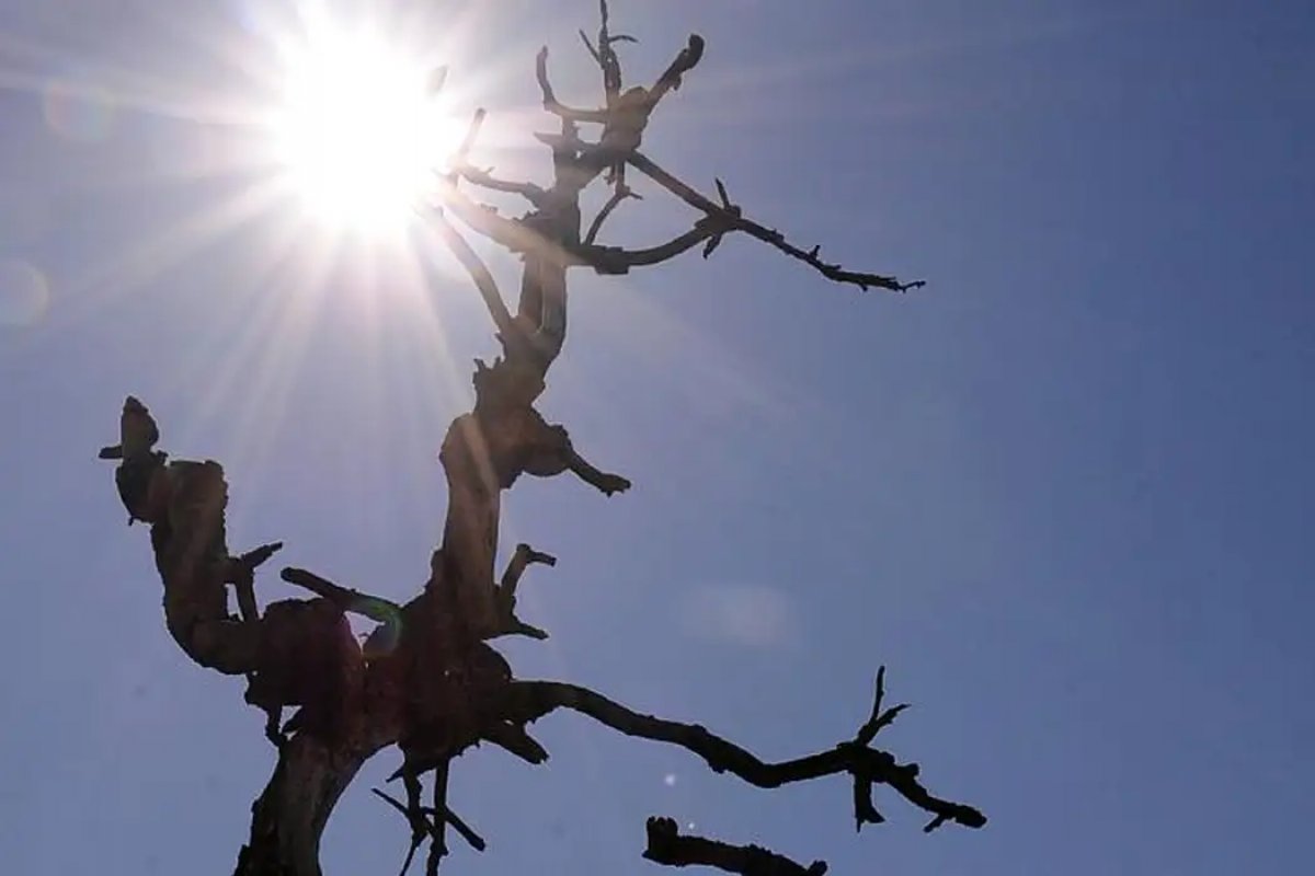 Após ano mais quente, janeiro de 2024 também bate recorde de calor