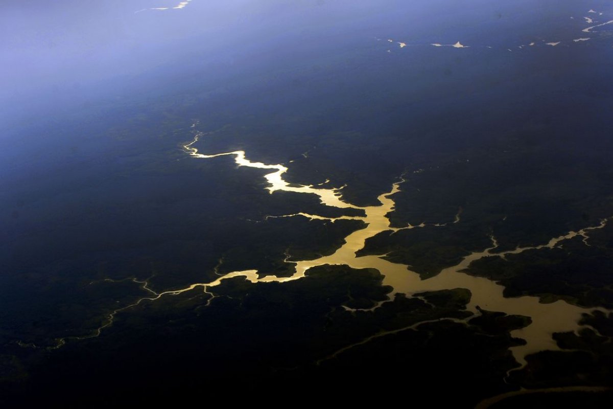 Ministério do Meio Ambiente anuncia a criação da Secretaria da Amazônia