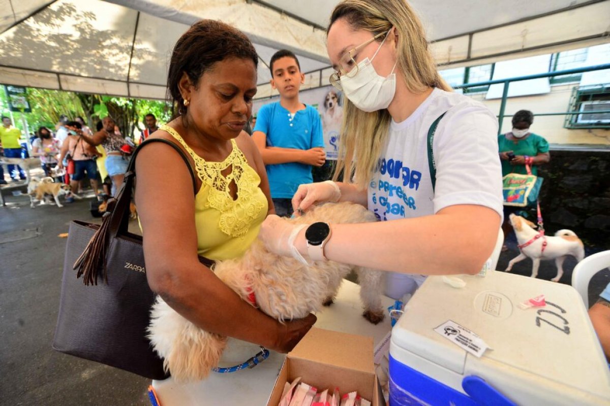 Mutirão para aplicação da vacina V10 em cães será realizado a partir de quarta-feira (21) em Salvador 