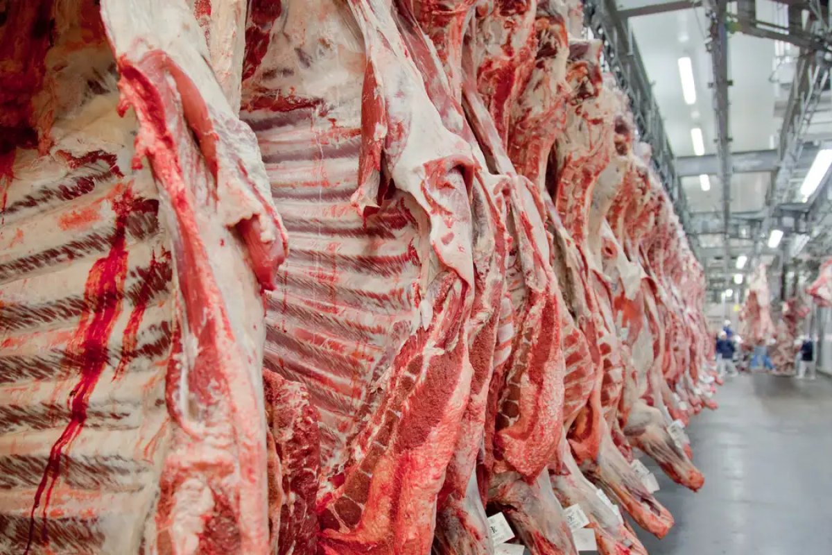 Setor de carnes diz que mobilização de fiscais compromete cadeia de distribuição no Brasil e exterior