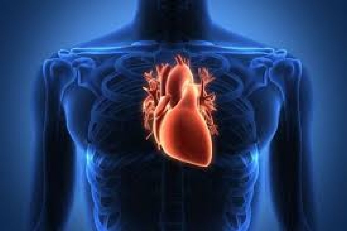 Especialista alerta para o aumento das doenças cardiovasculares e instrui como se prevenir!