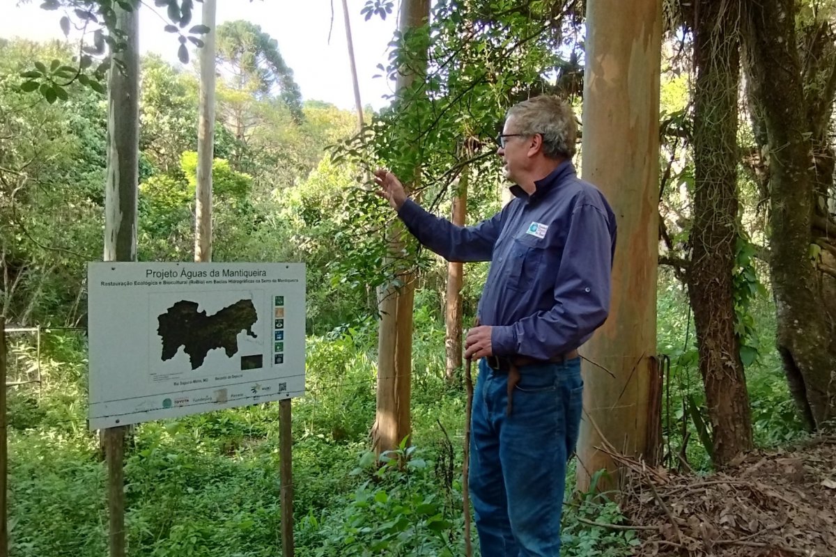 Como projeto na Serra da Mantiqueira vem contribuindo para desenvolvimento sustentável e restauração ecológica de áreas nativas! 