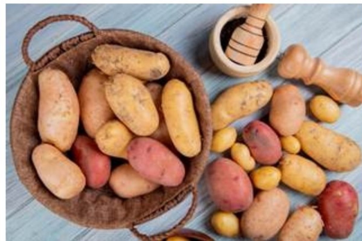 Você conhece todos os tipos de batata? Veja quais são e como utilizá-las na cozinha! 