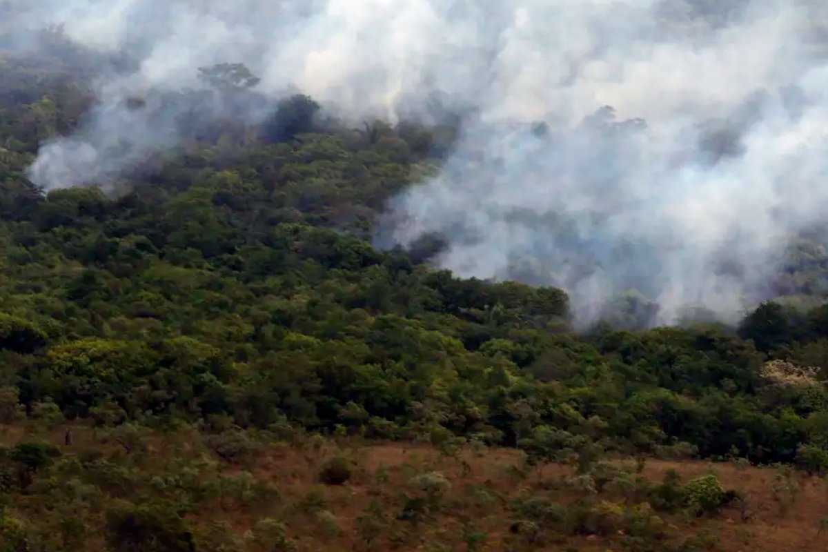 Emissões por queimadas no Brasil em fevereiro são as maiores desde 2003, diz observatório europeu