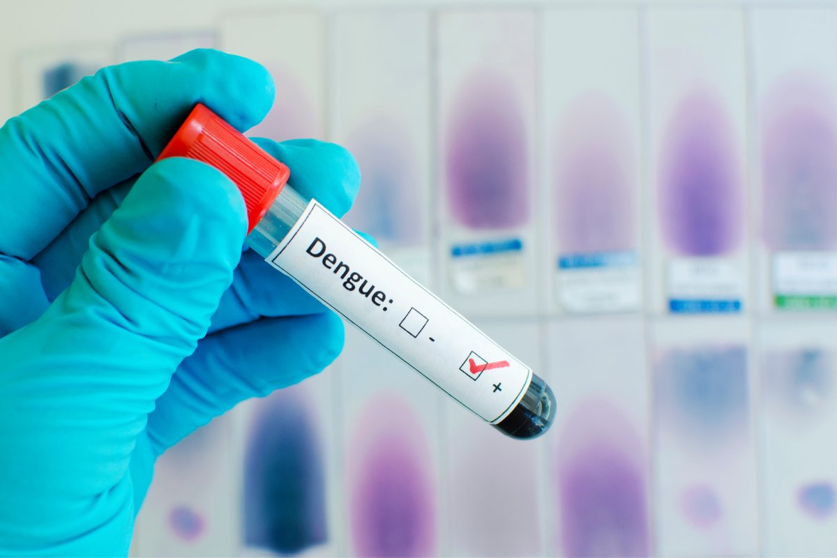 Risco de morte por dengue é 8 vezes maior em idosos; veja cuidados que devem ser adotados! 