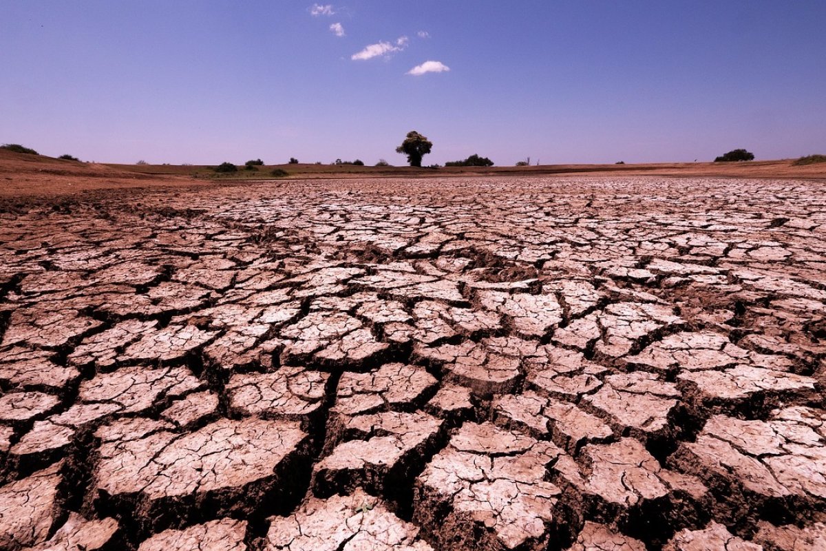 Bahia e oito estados registram redução da severidade da seca entre dezembro e janeiro